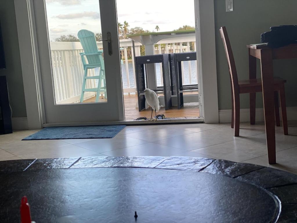What A View Overlooking Boga Ciaga Bay Intercostal Waterway On Treasure Island *