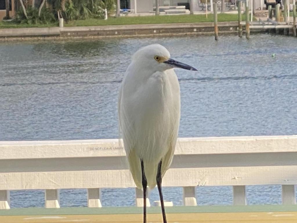 What A View Overlooking Boga Ciaga Bay Intercostal Waterway On Treasure Island * St. Pete Beach
