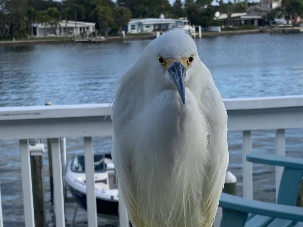 What A View Overlooking Boga Ciaga Bay Intercostal Waterway On Treasure Island Apartment