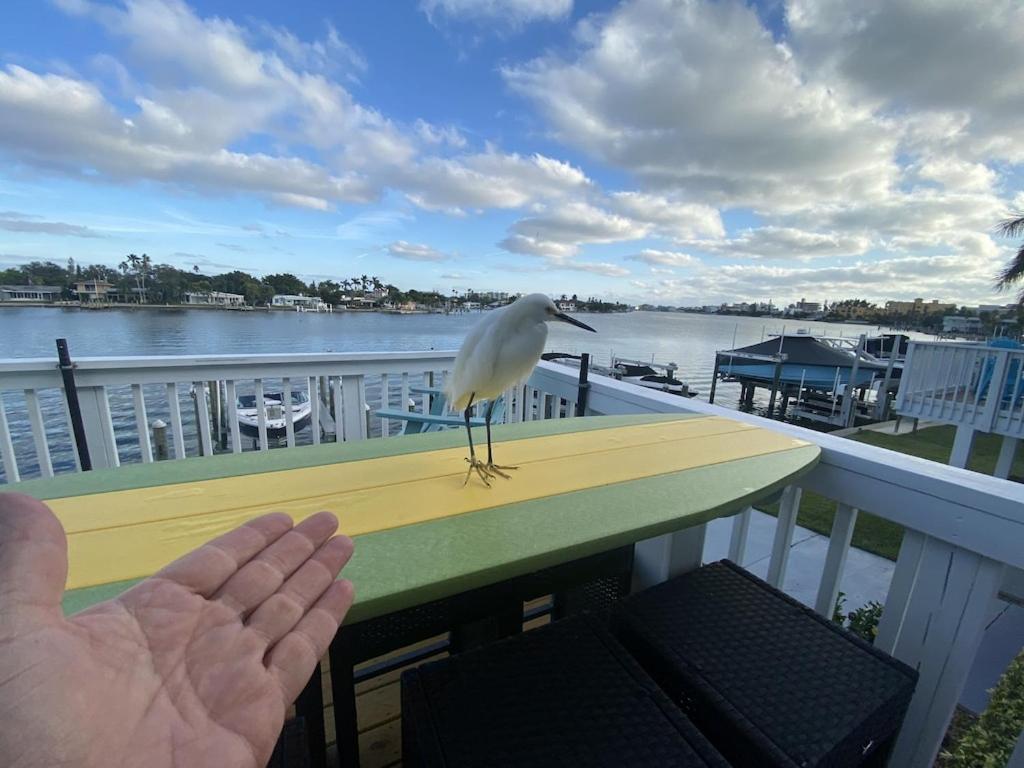 What A View Overlooking Boga Ciaga Bay Intercostal Waterway On Treasure Island Apartment *