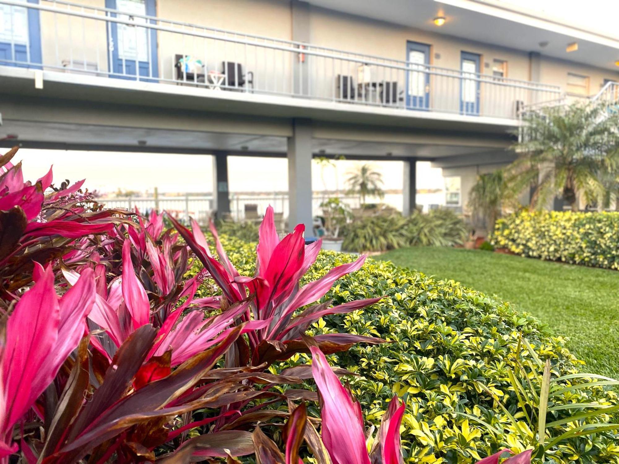107-waterfront-walk To Beach-lovely Apartment *